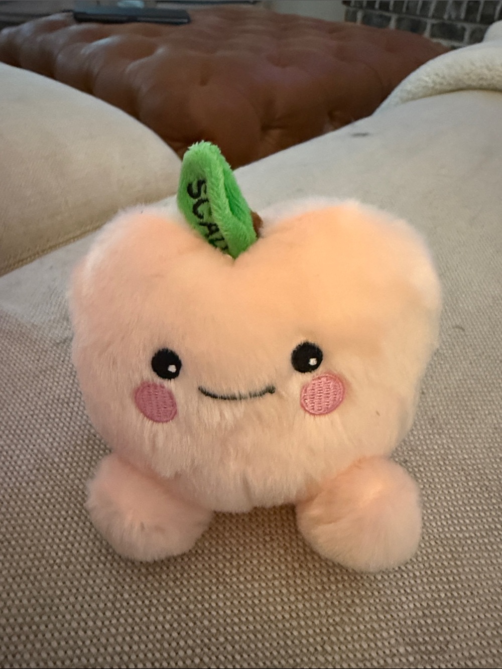 Plush Peach Kawaii Plushie with Green Leaf